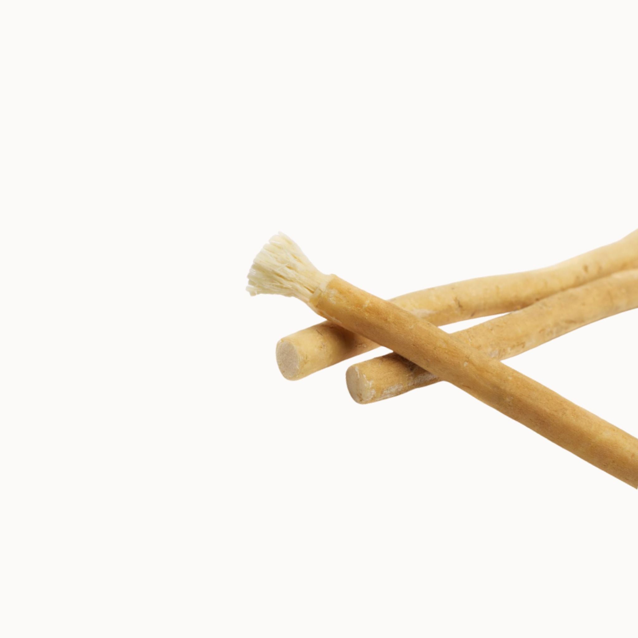 Miswak Toothbrush — Pack of 12